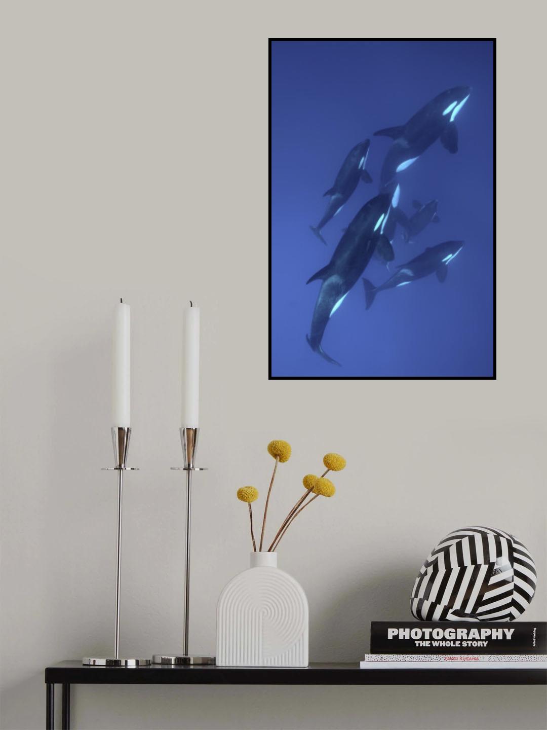 The pod Poster och Canvastavla