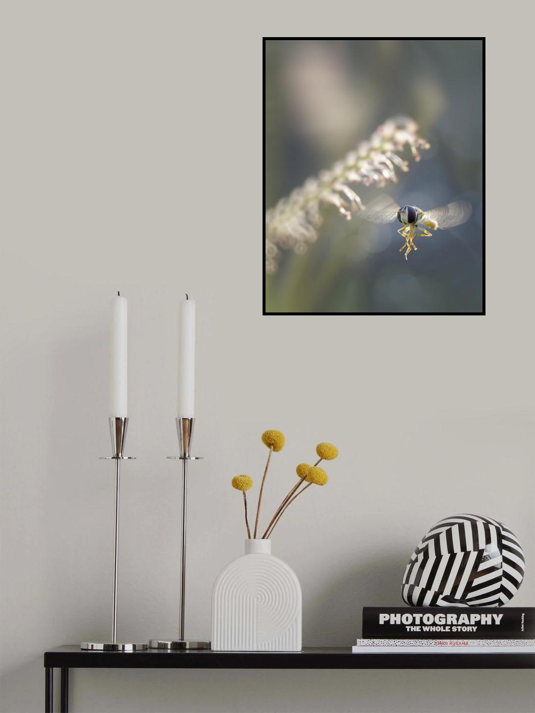 Low Fly Zone Poster och Canvastavla
