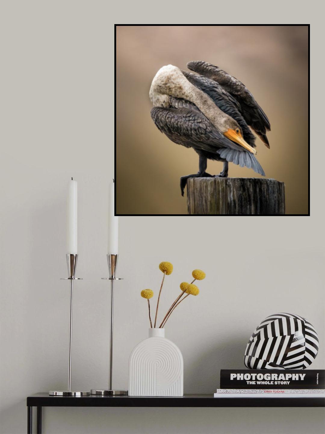 Preening Poster och Canvastavla