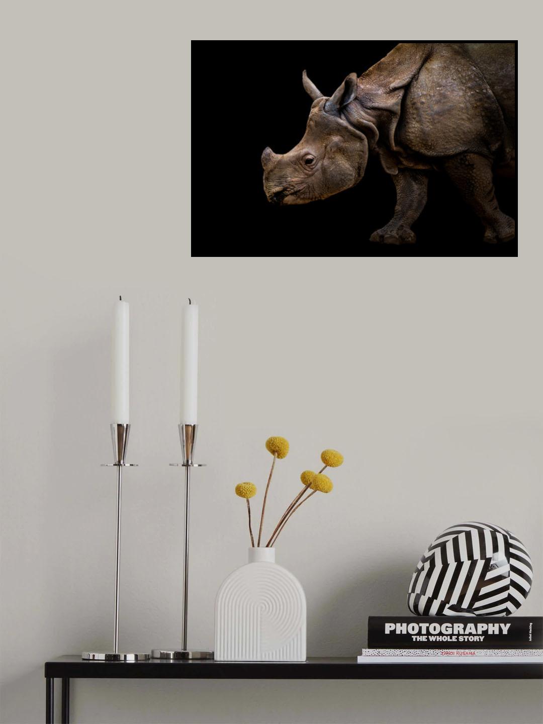 Rhinoceros Poster och Canvastavla