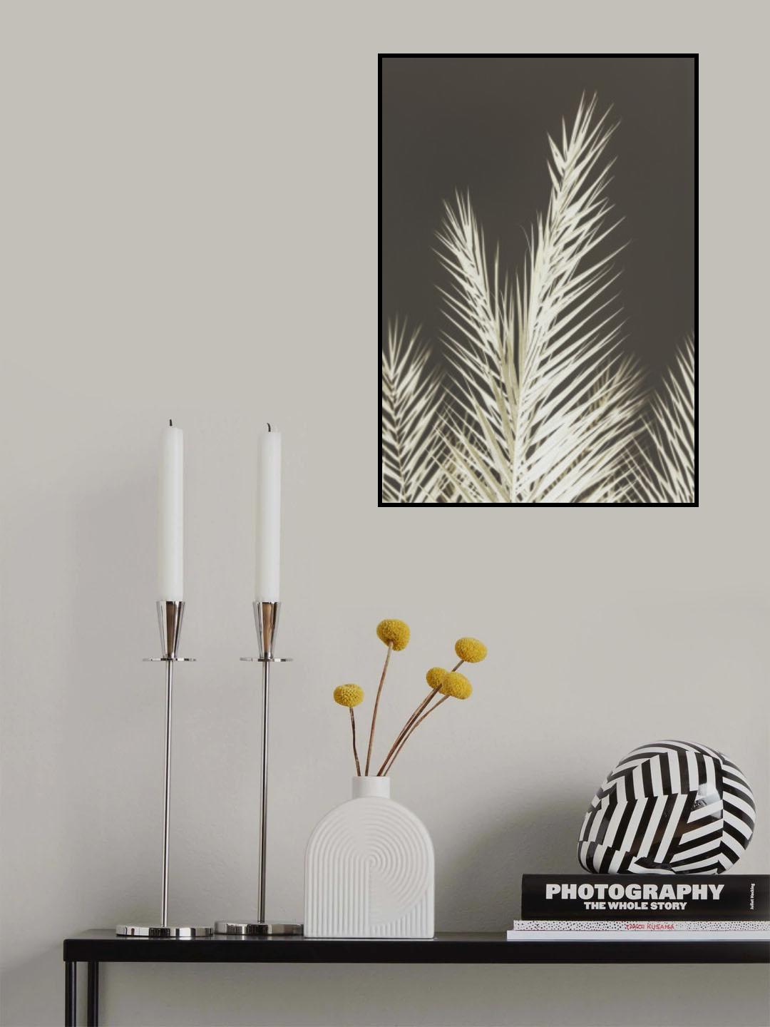 Phoenix Poster och Canvastavla