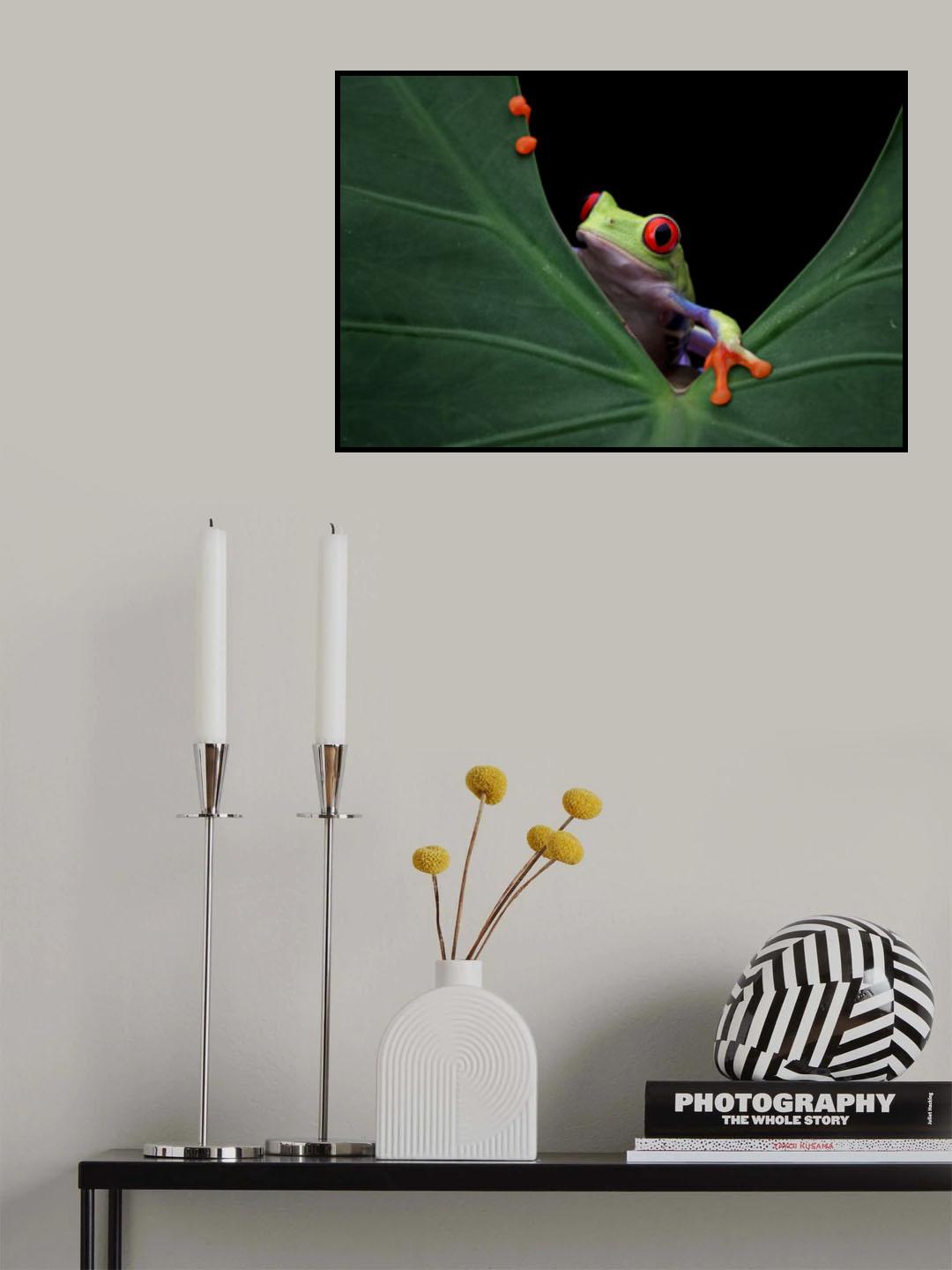 Peek a boo Poster och Canvastavla