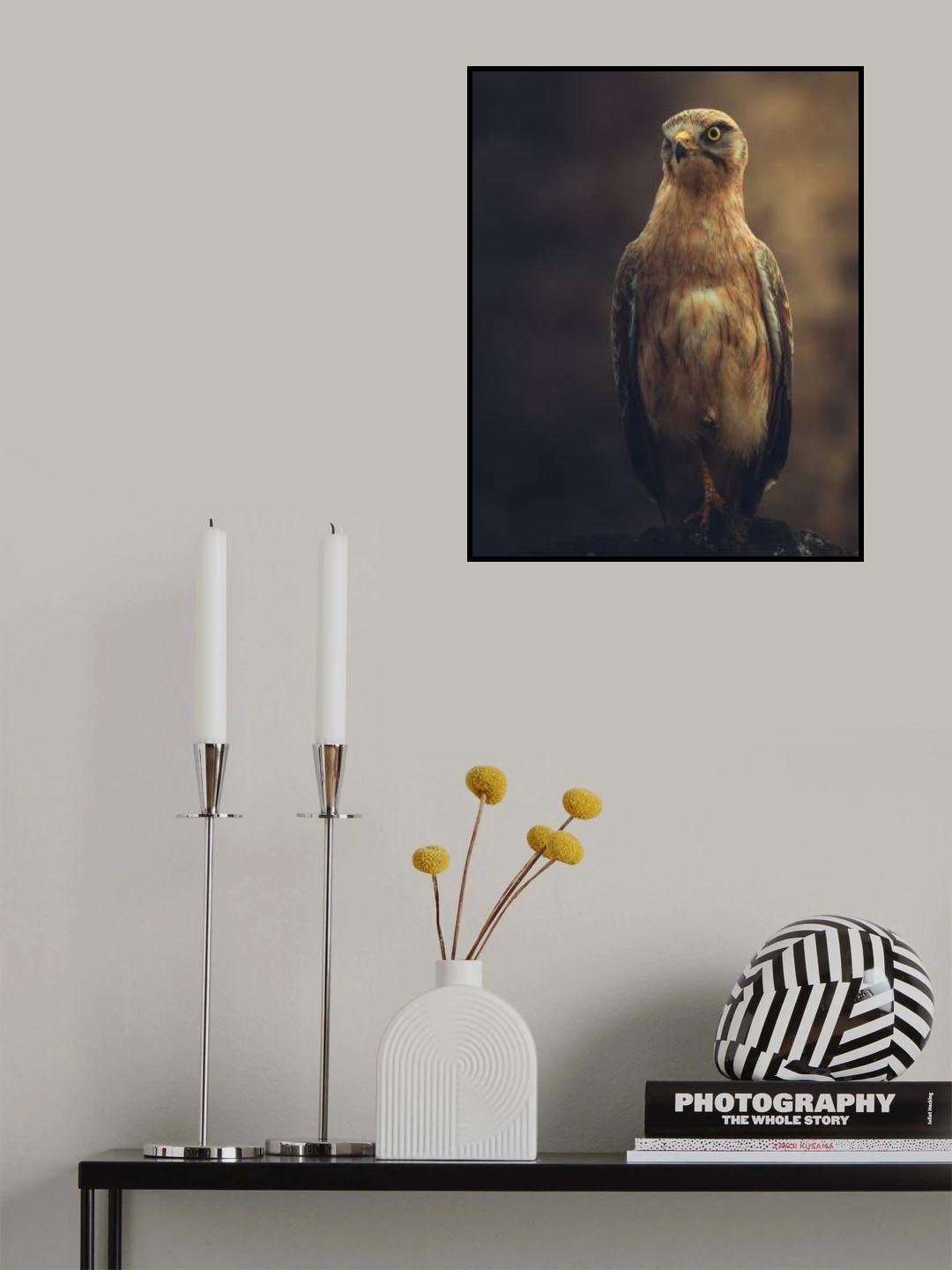Glory Poster och Canvastavla