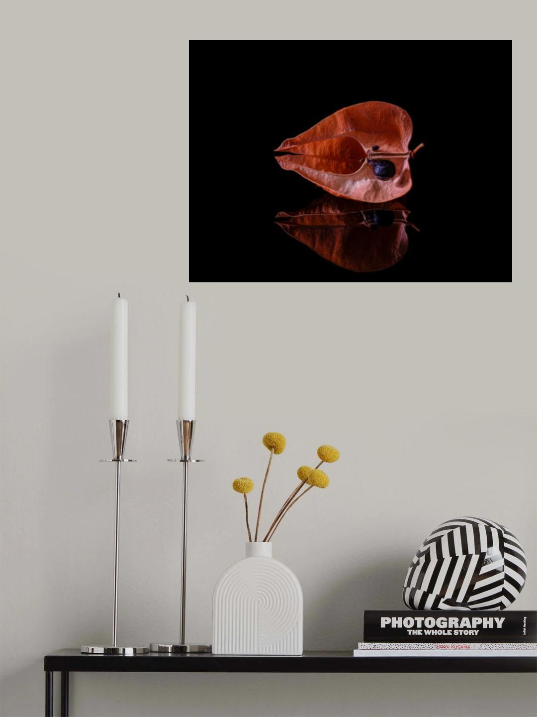 Simple graine Poster och Canvastavla