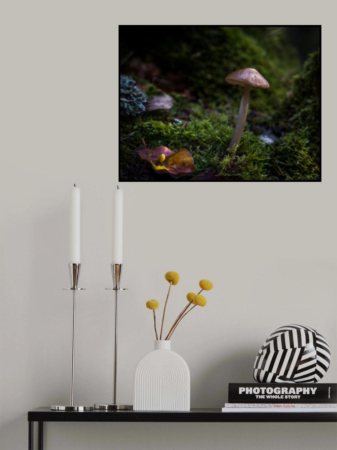 In the Selvapiana forest Poster och Canvastavla