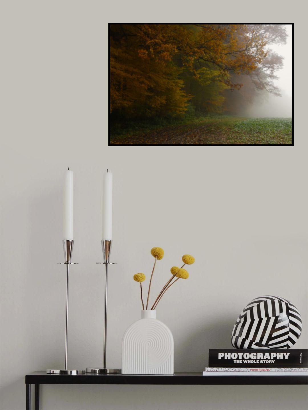 fog on the field Poster och Canvastavla