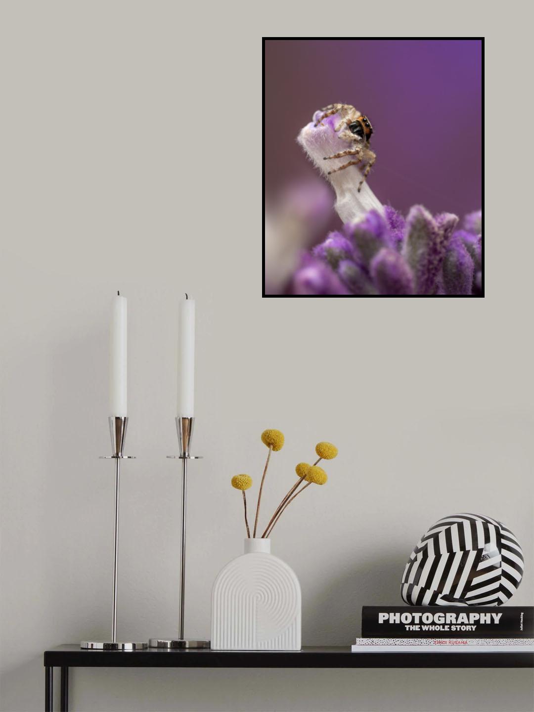 On the top Poster och Canvastavla