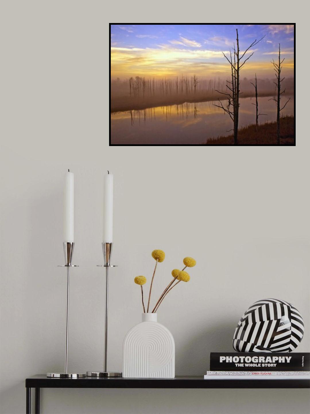 Near and Far Poster och Canvastavla