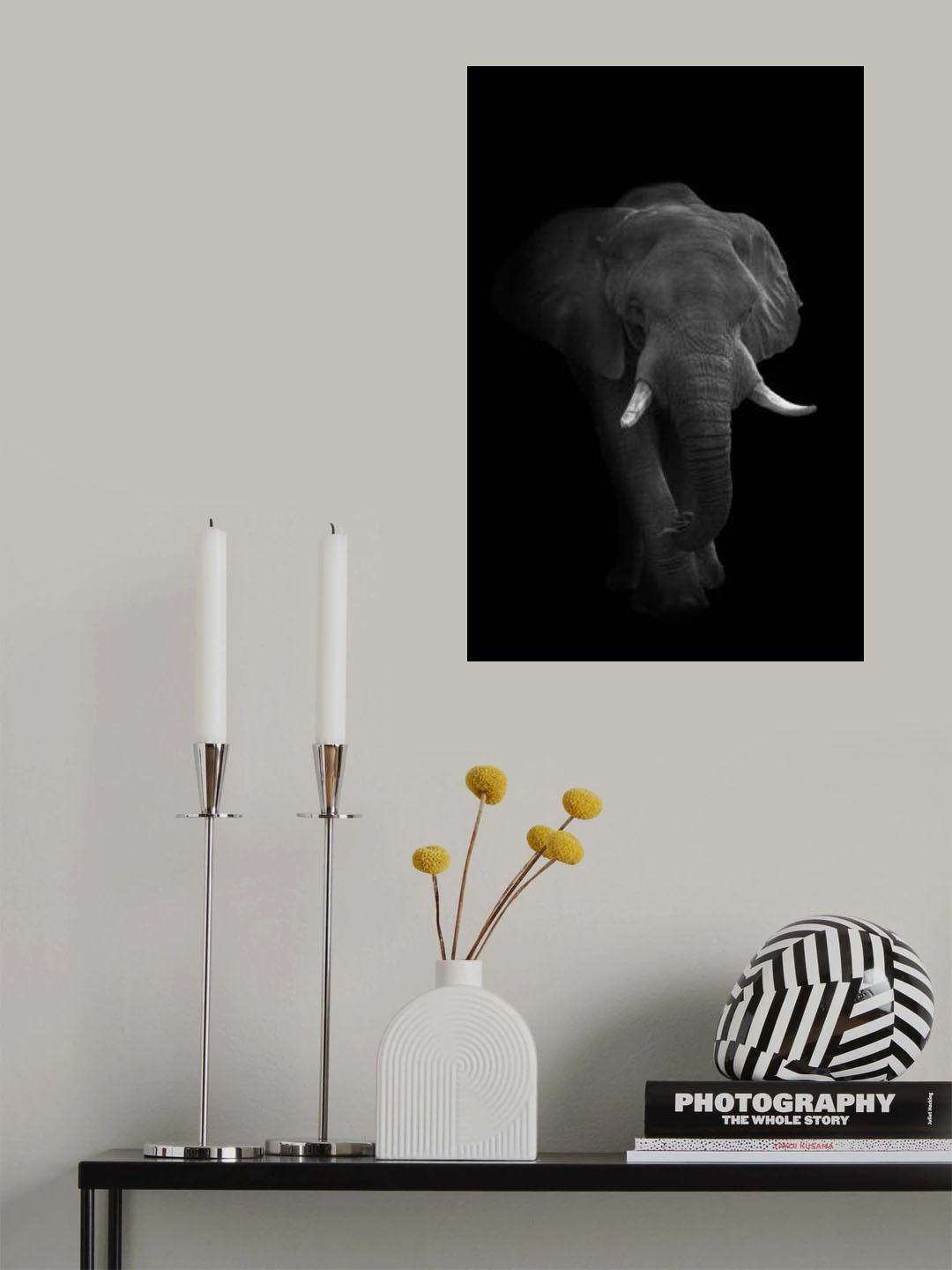 Emerging from Darkness Poster och Canvastavla