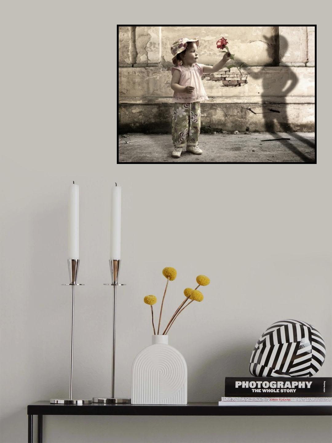 Shyness Poster och Canvastavla