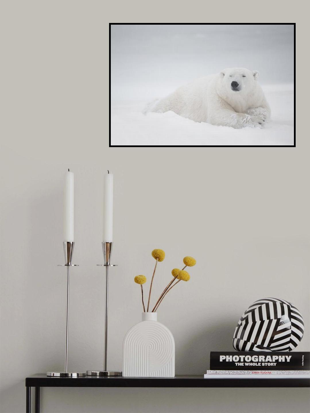 Frozen sleep Poster och Canvastavla