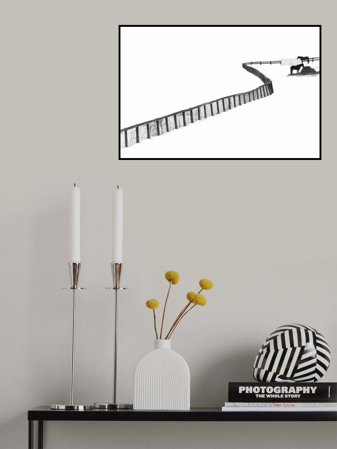 S Fence Poster och Canvastavla