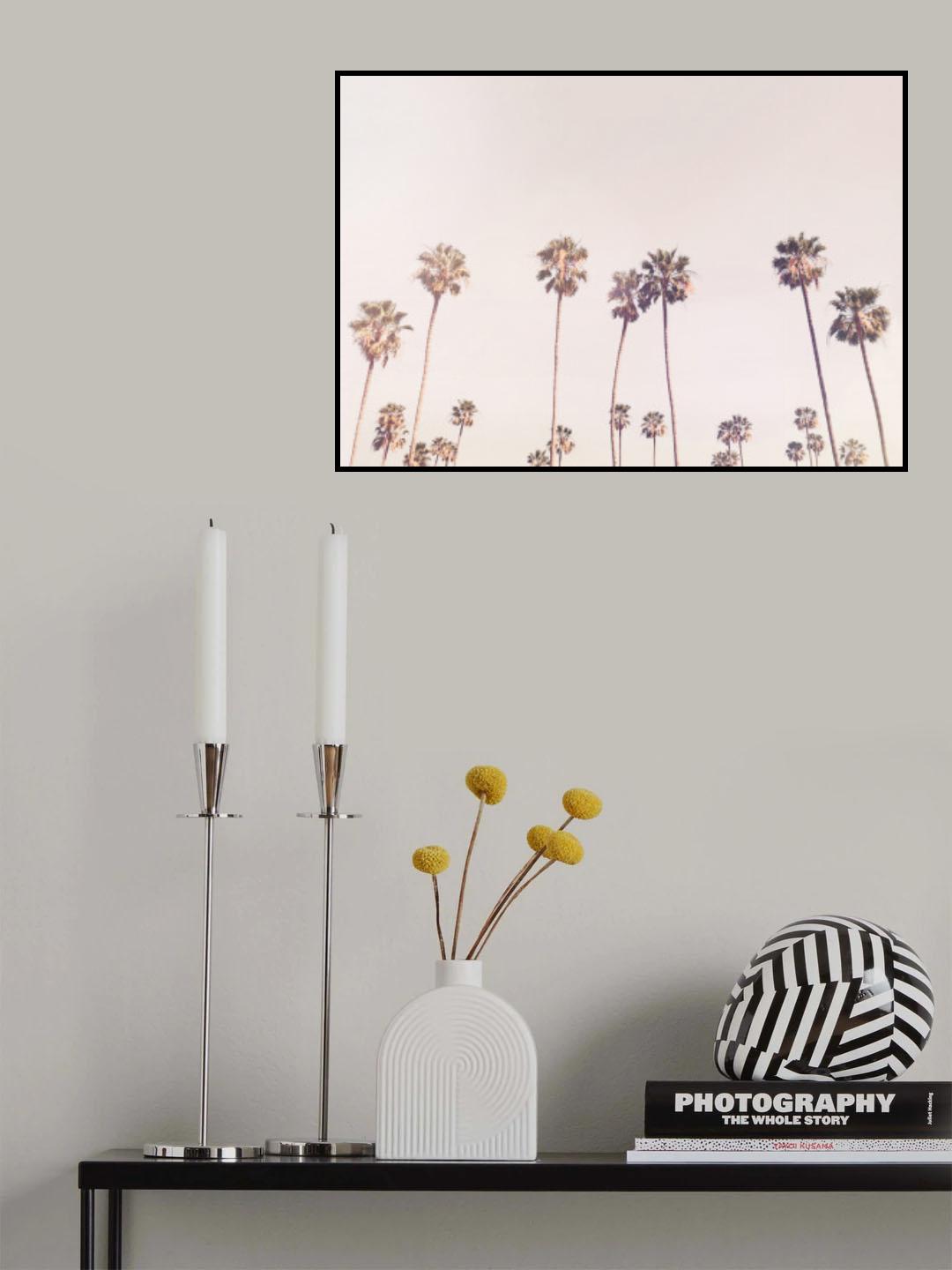Sunny Cali Palm Trees Poster och Canvastavla
