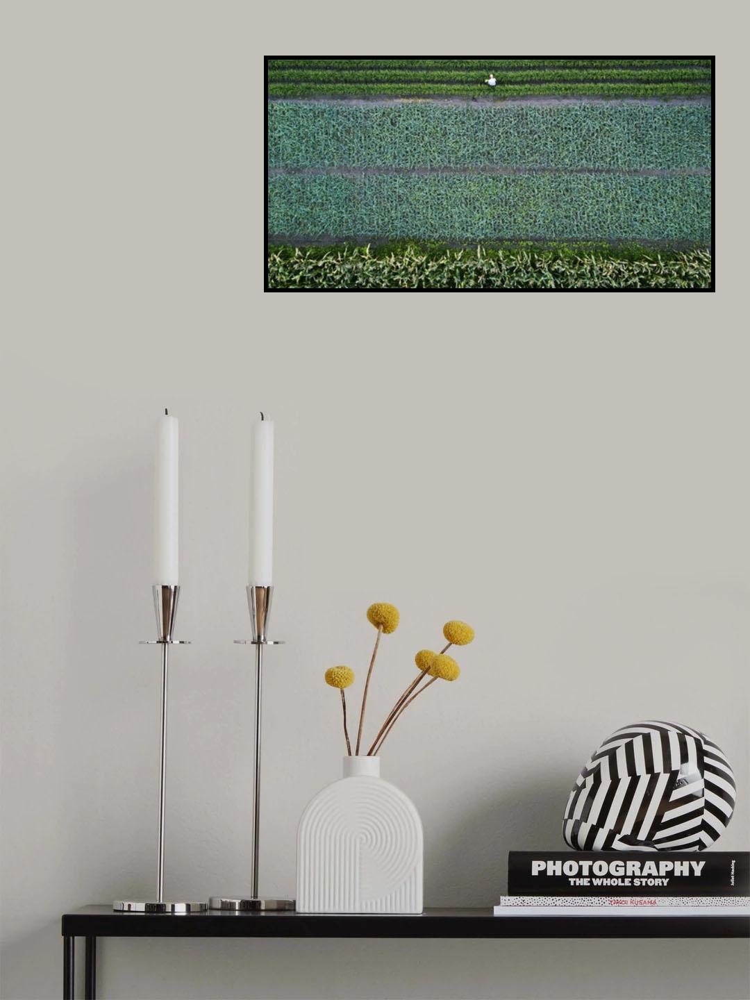 Food source Poster och Canvastavla