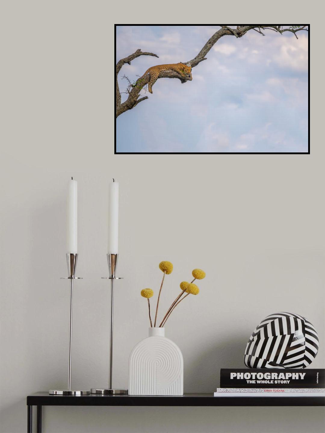 Point of view Poster och Canvastavla