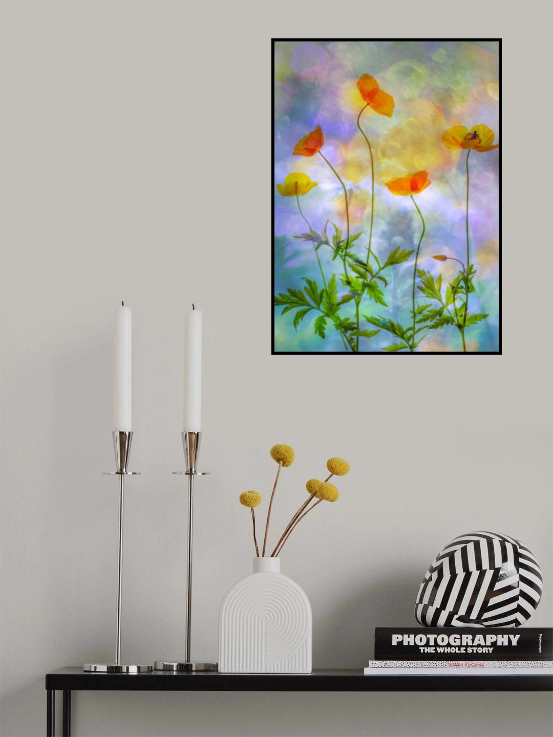rainbow colours Poster och Canvastavla