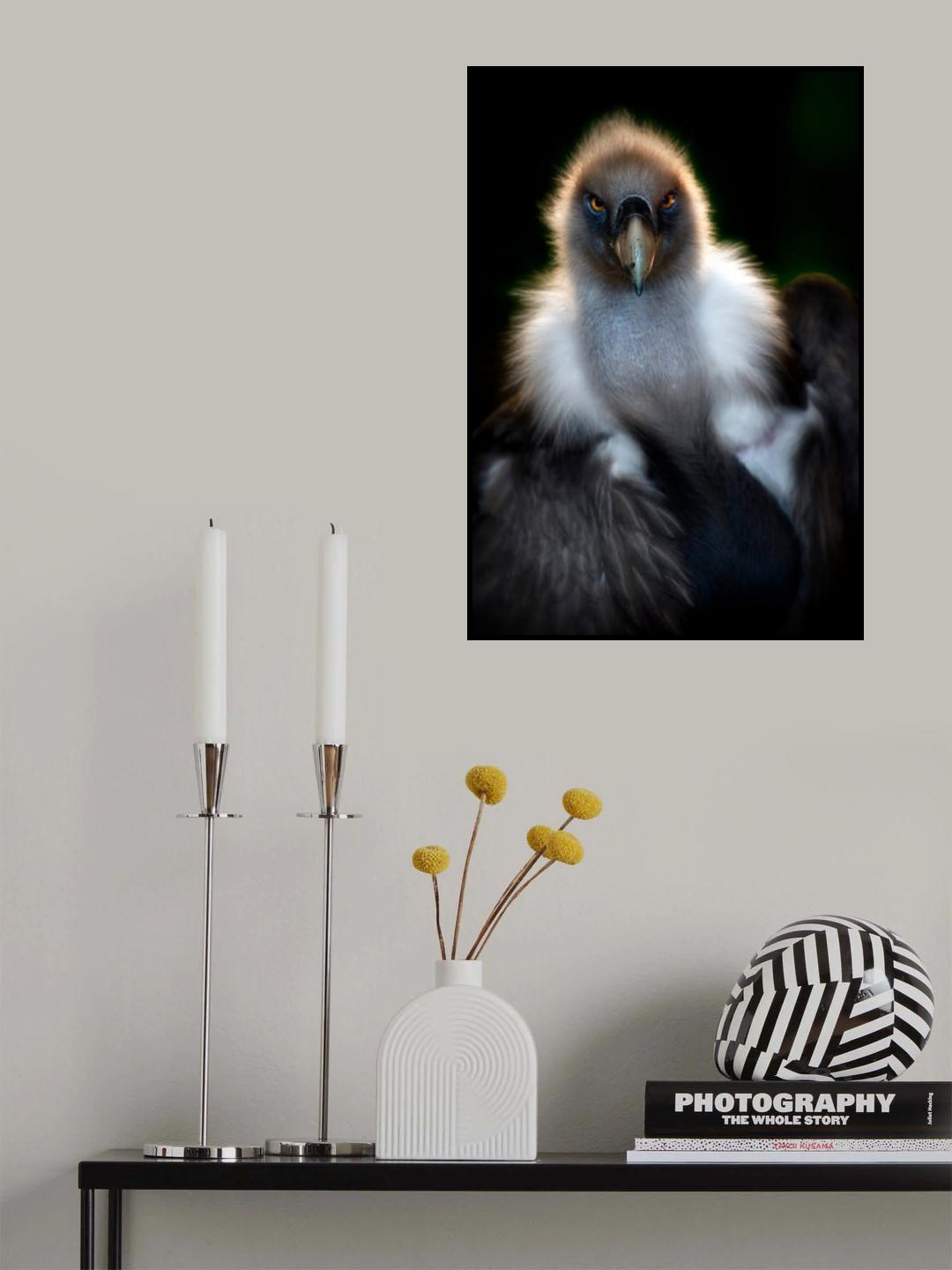 Vulture portrait Poster och Canvastavla