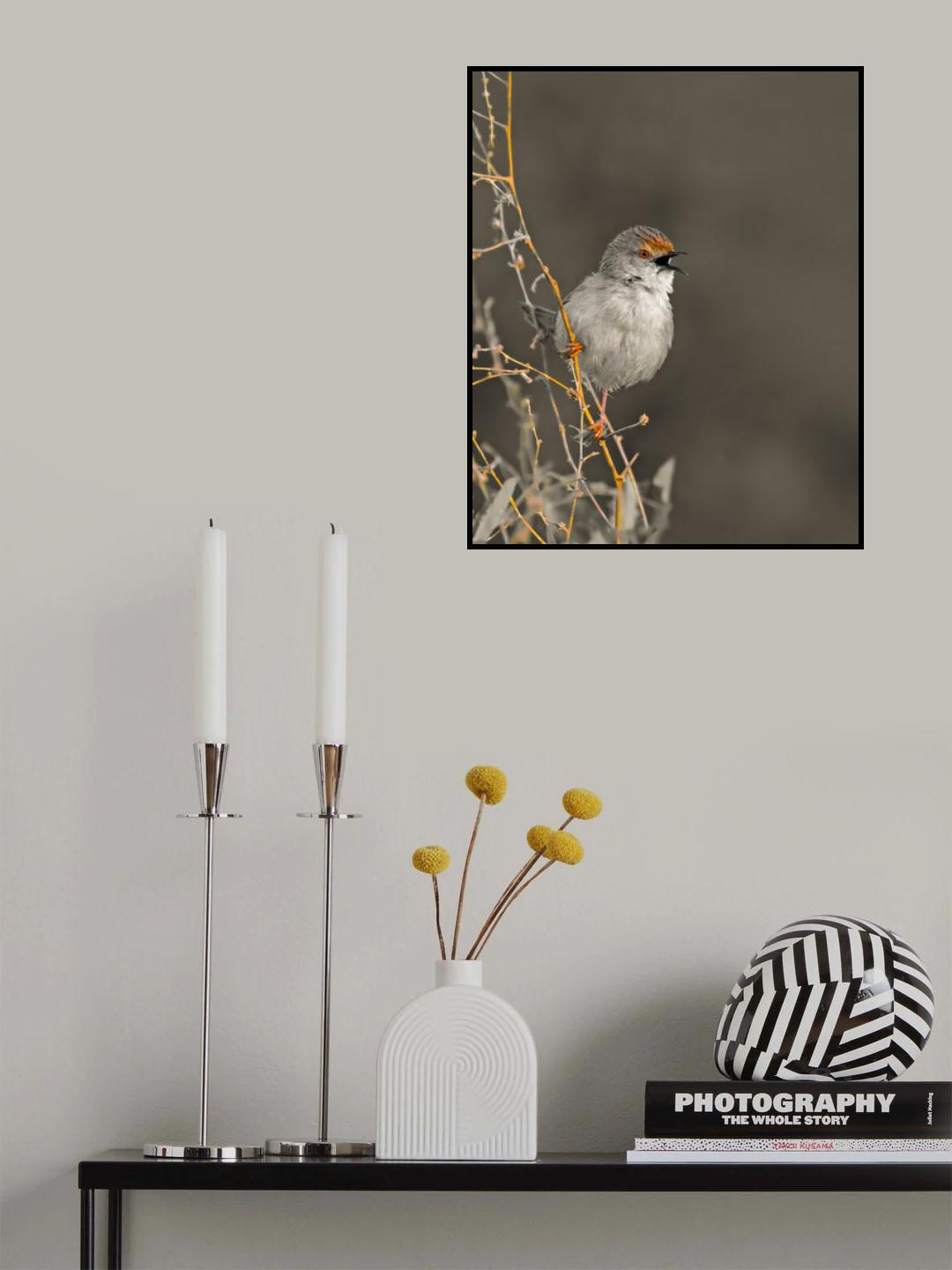 First Light Poster och Canvastavla