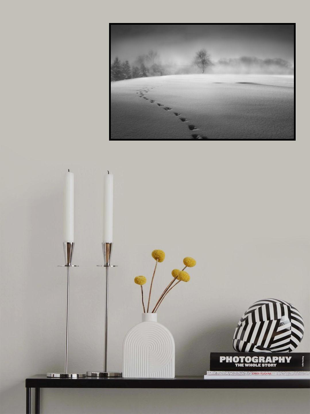 Winter scenery Poster och Canvastavla