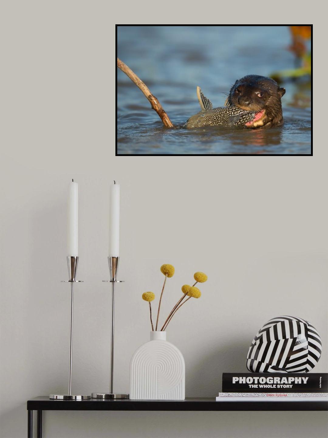 Catfish for lunch Poster och Canvastavla