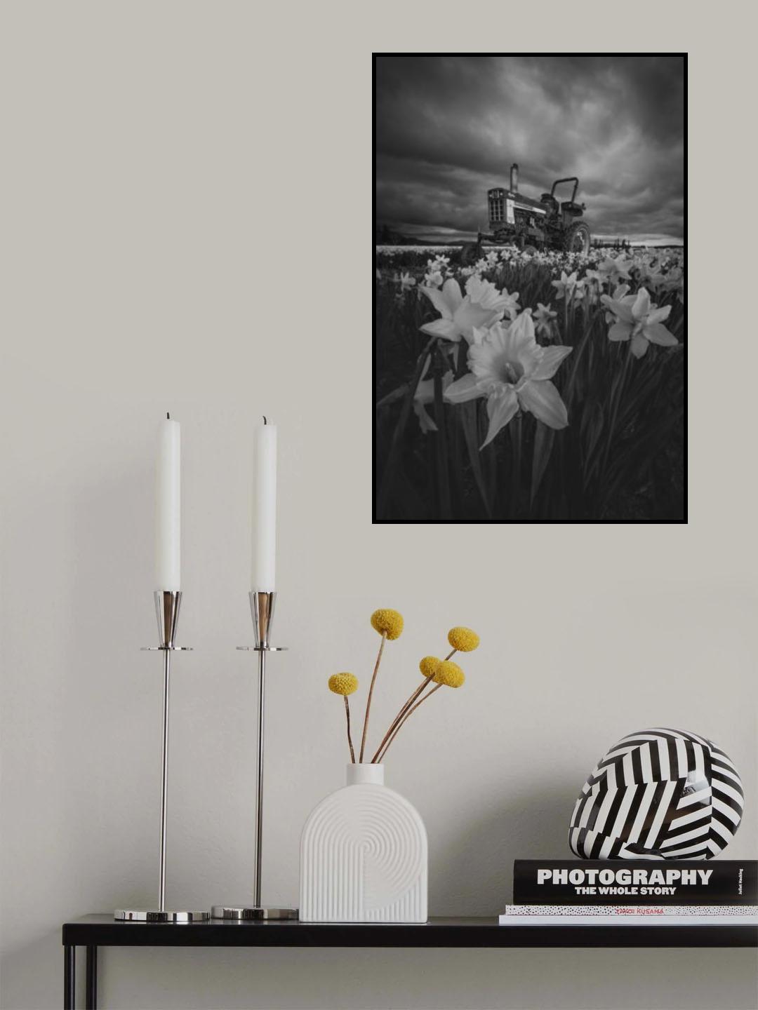Tractor in Daffodils Poster och Canvastavla