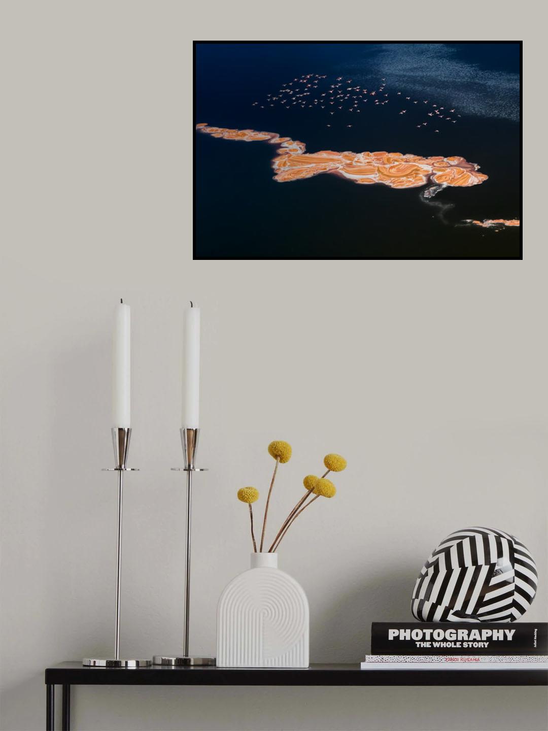Flying Over Poster och Canvastavla