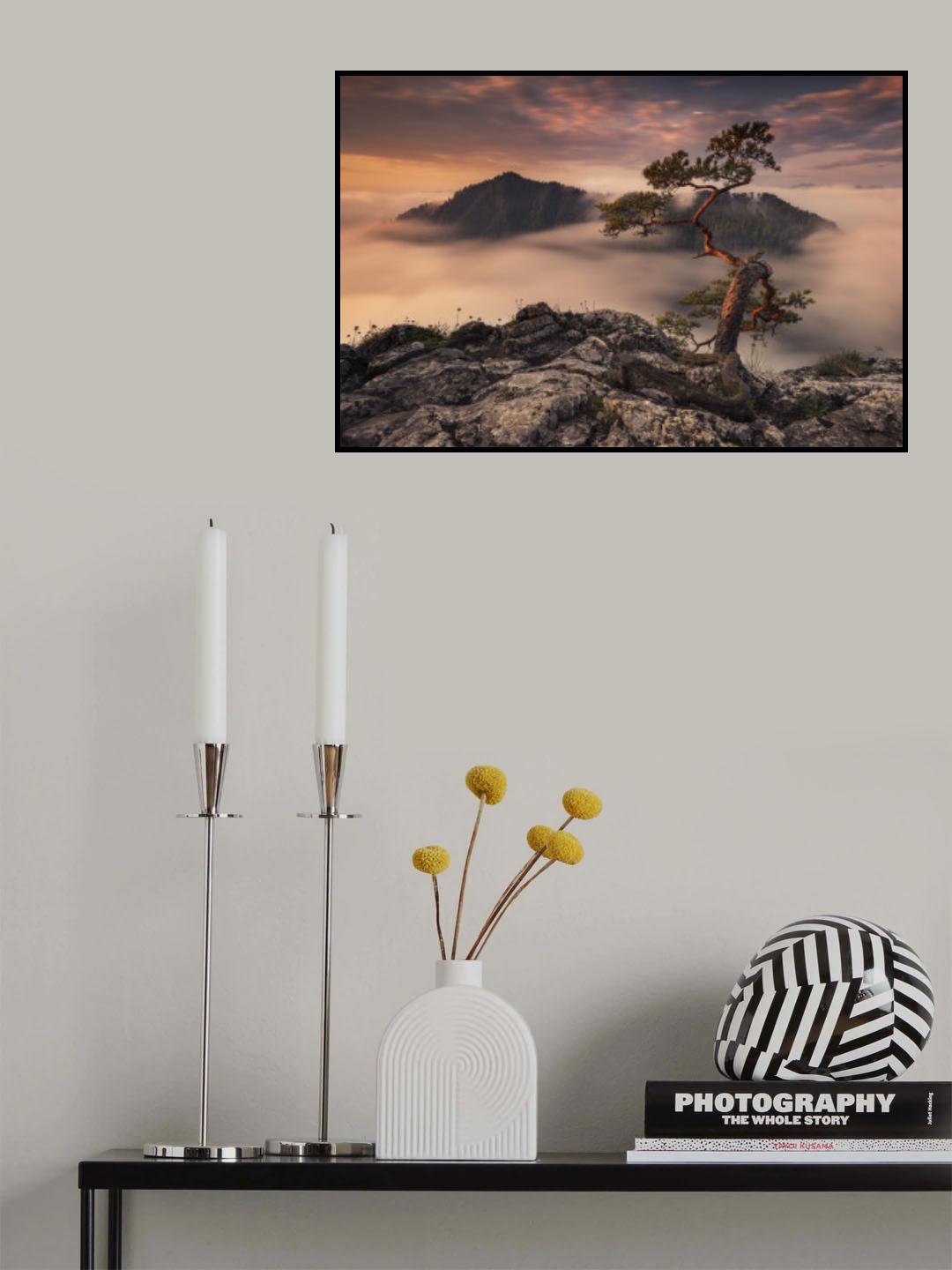 Bonsai Poster och Canvastavla