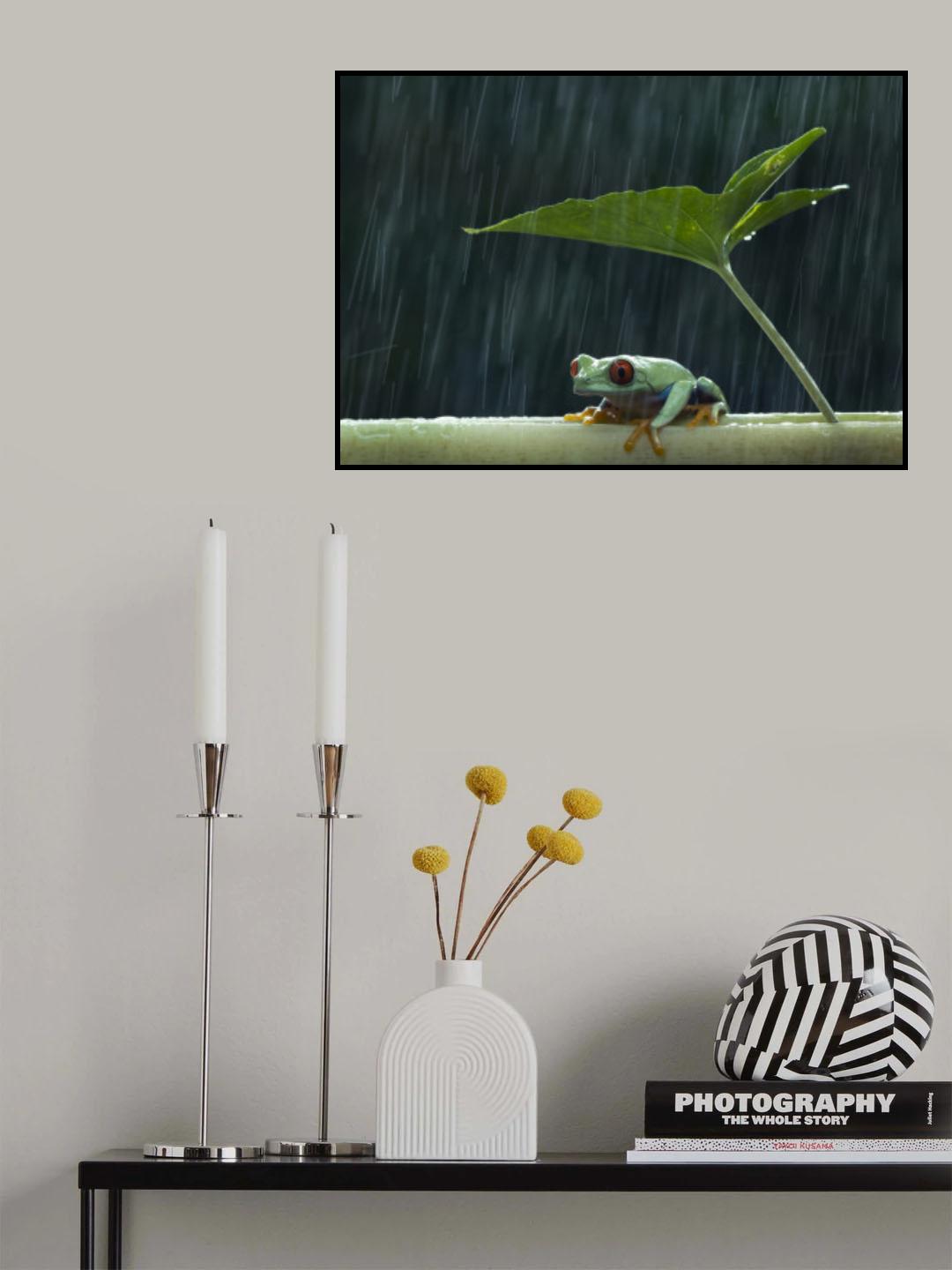 Under the rain Poster och Canvastavla