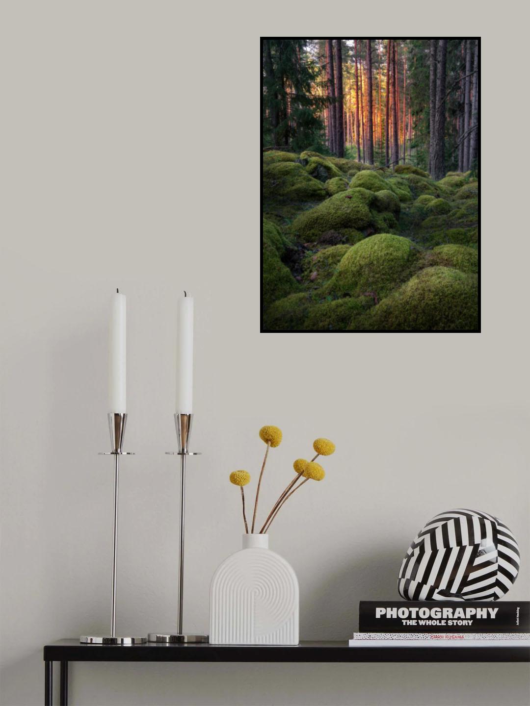 Mossy forest Poster och Canvastavla