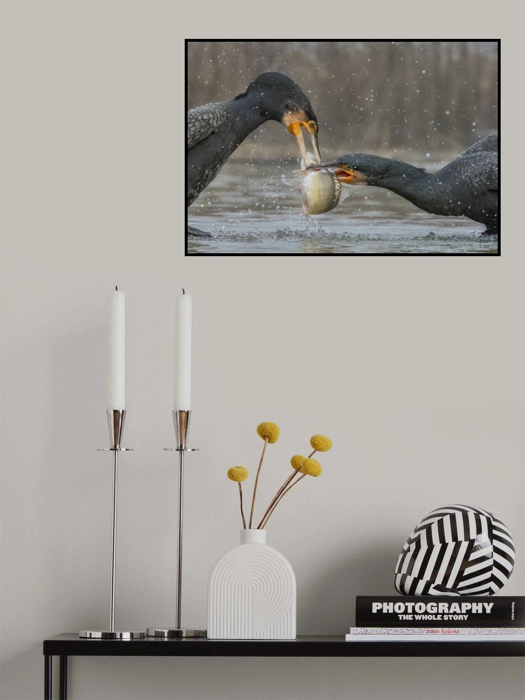 Delicacy Poster och Canvastavla