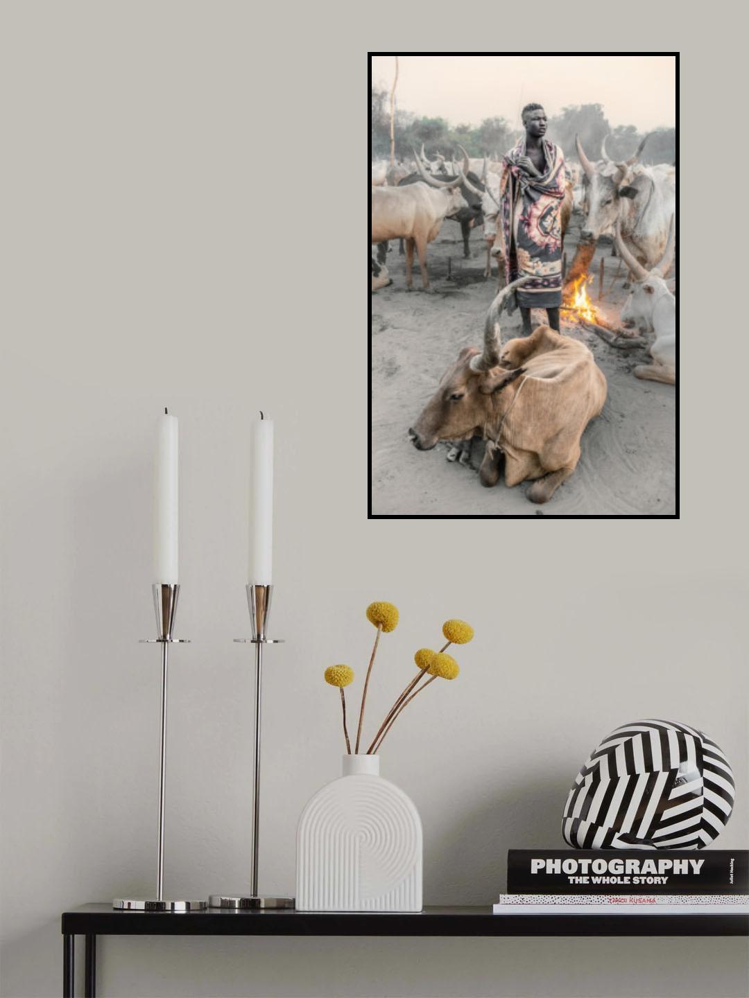 Mundari herder at dawn Poster och Canvastavla