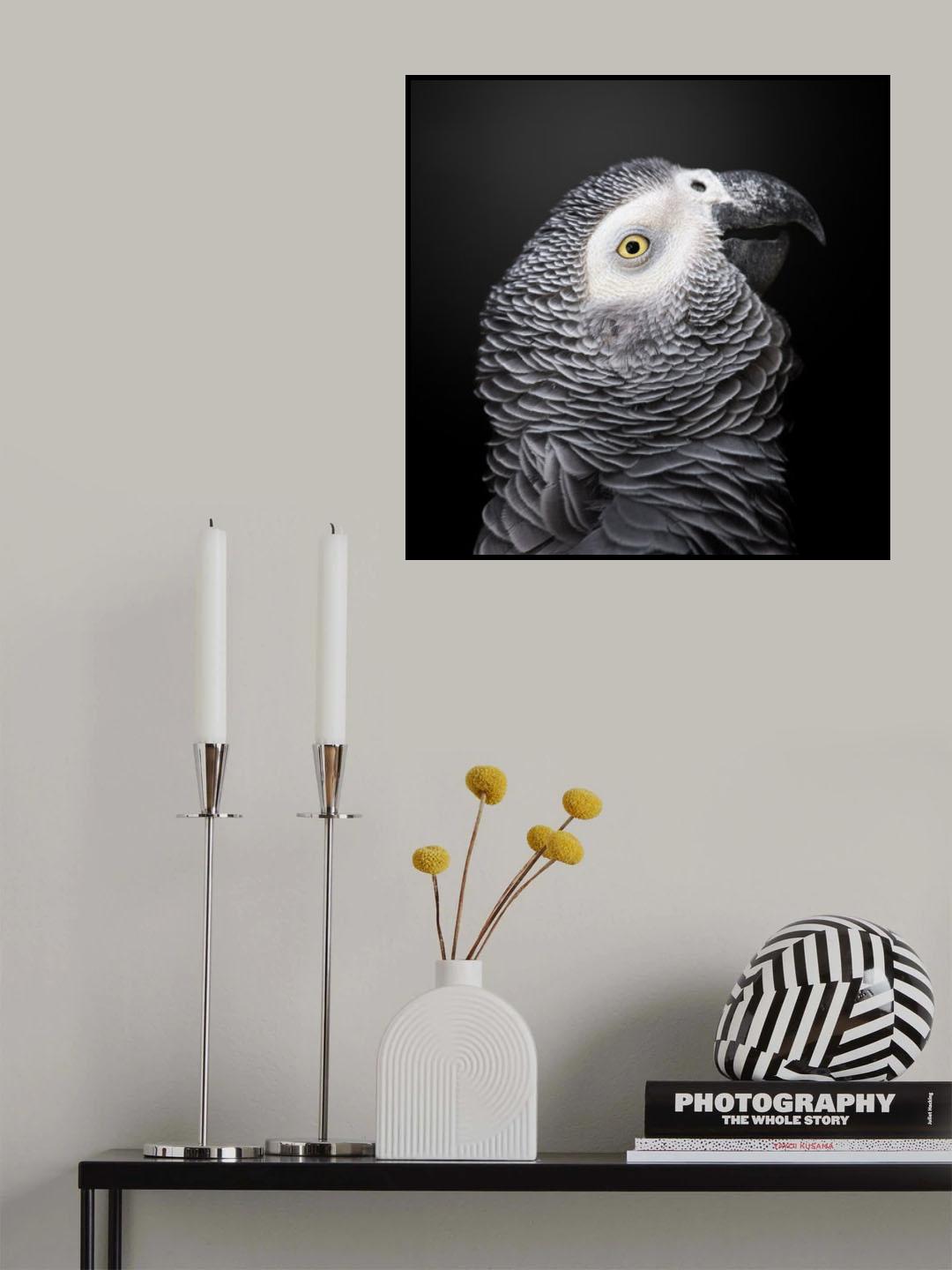 The Colorful Grey Poster och Canvastavla