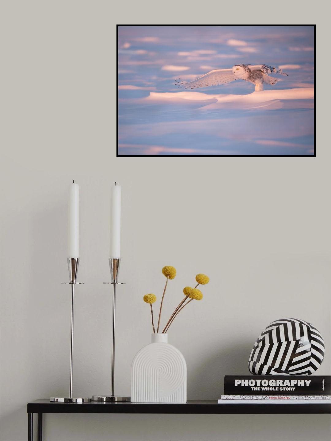 Pink Owl Poster och Canvastavla
