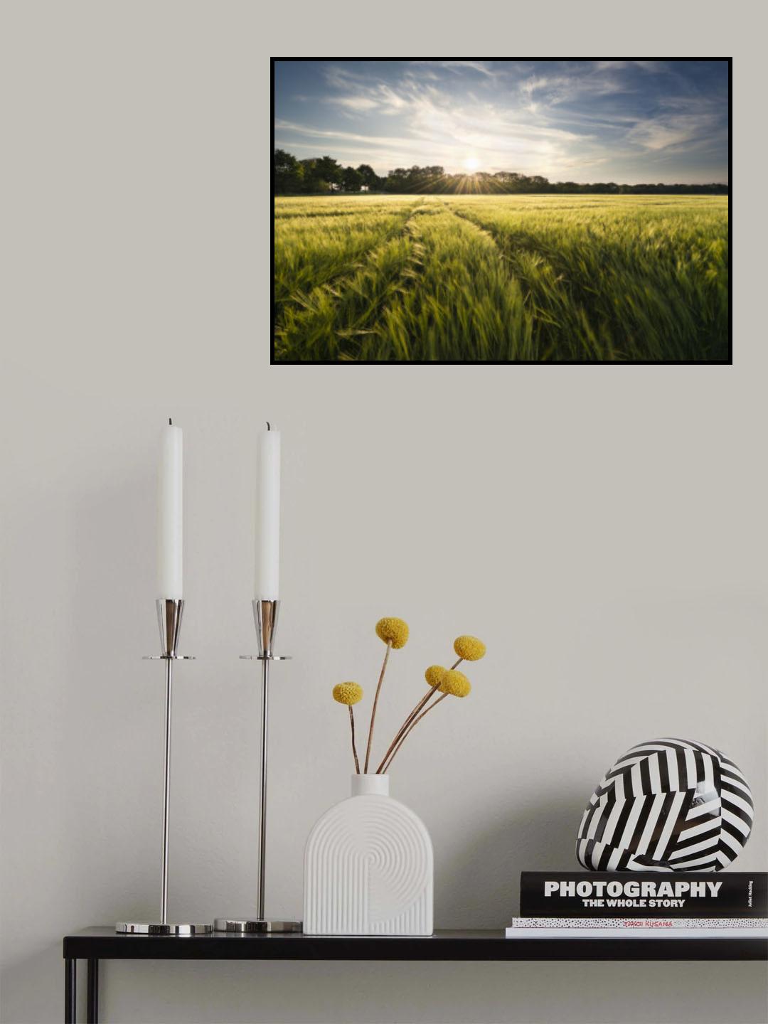 Barley Meadow Poster och Canvastavla