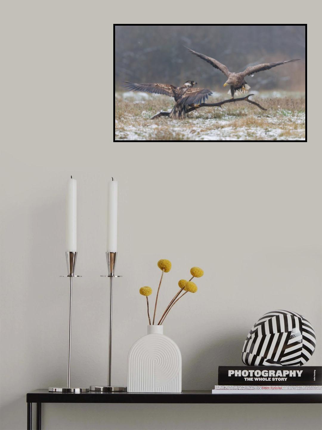 *** Poster och Canvastavla