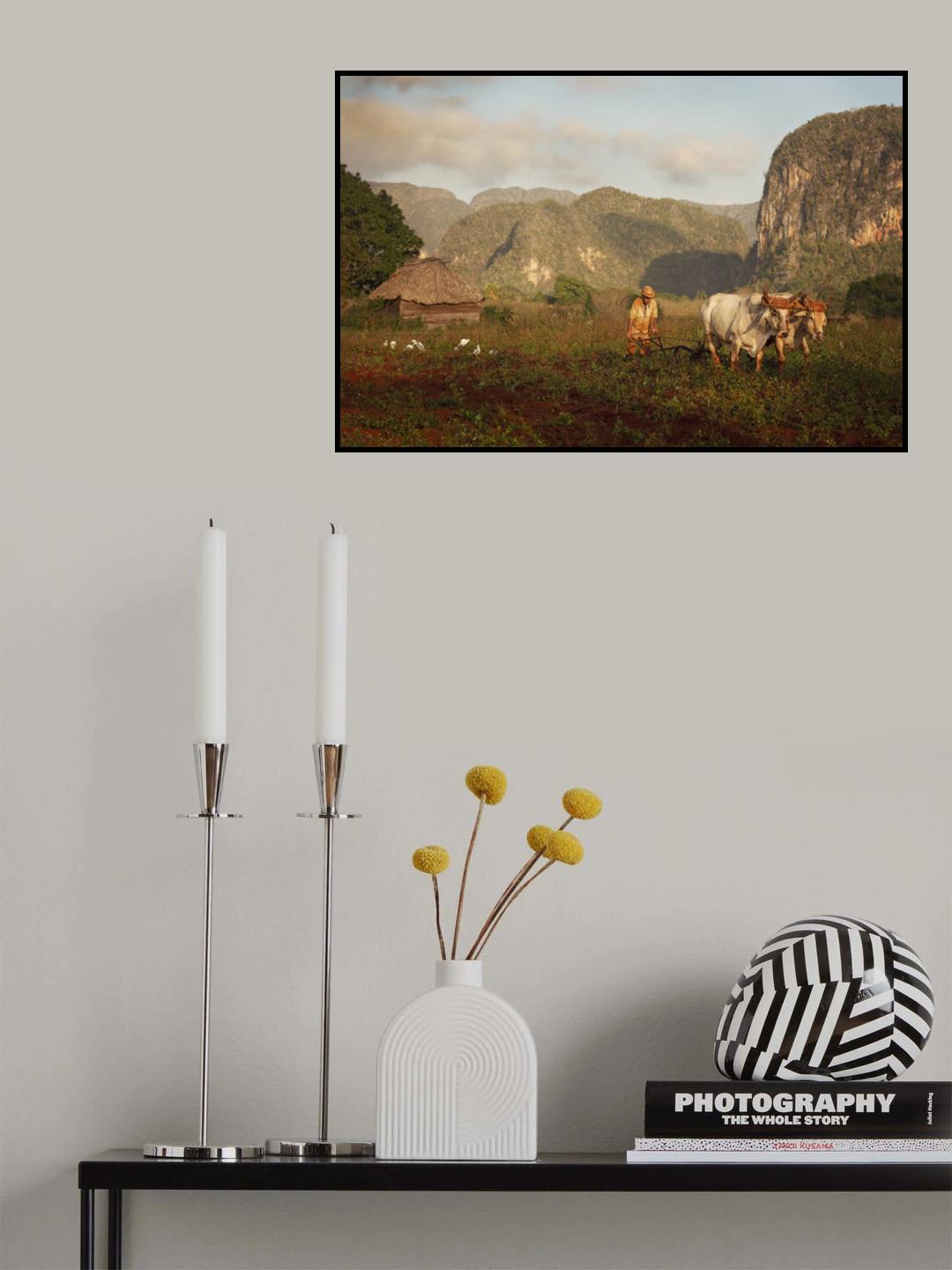 Plowing the field Poster och Canvastavla