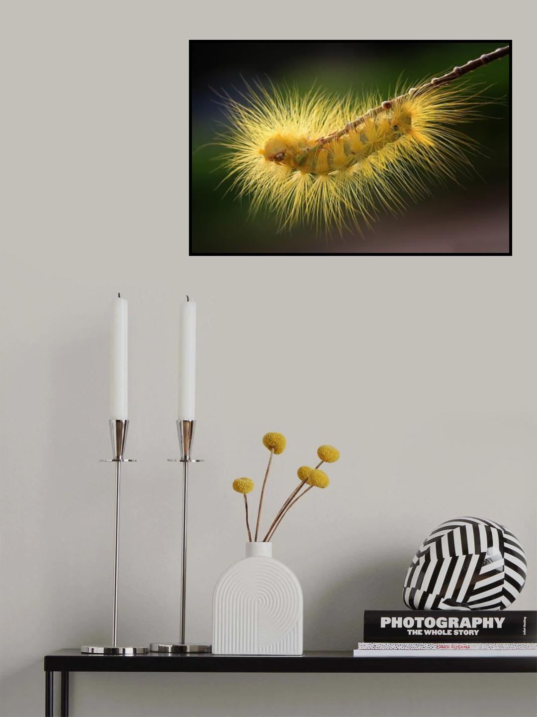 glowing Poster och Canvastavla