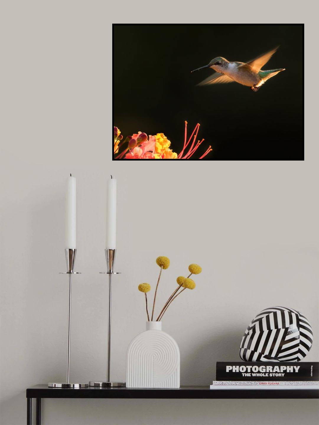 Hummingbird Poster och Canvastavla