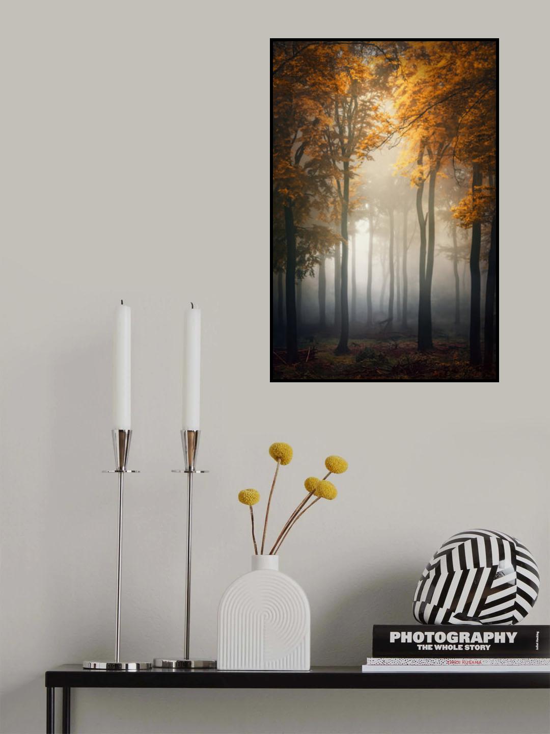 Fall Poster och Canvastavla