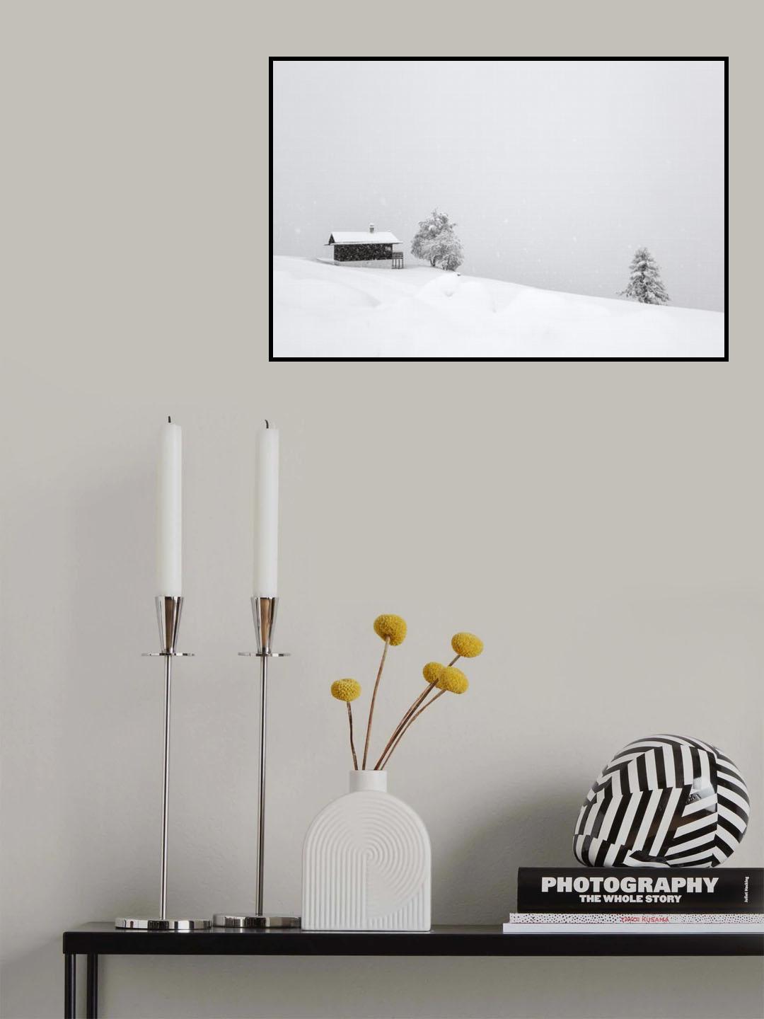 winter dreams Poster och Canvastavla
