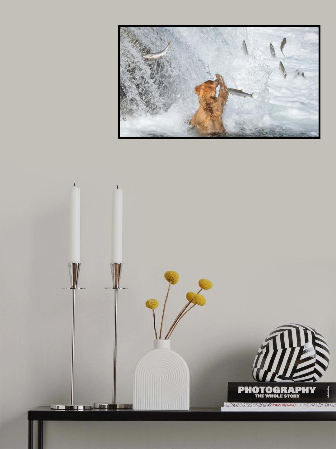 Why not catch it? Poster och Canvastavla