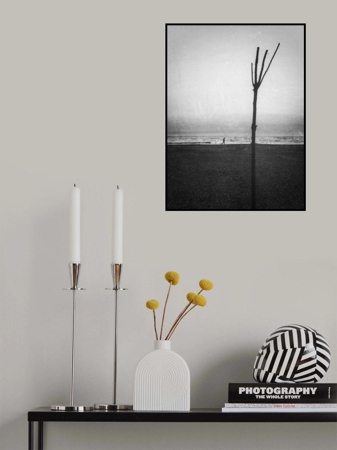 Passing through... Poster och Canvastavla