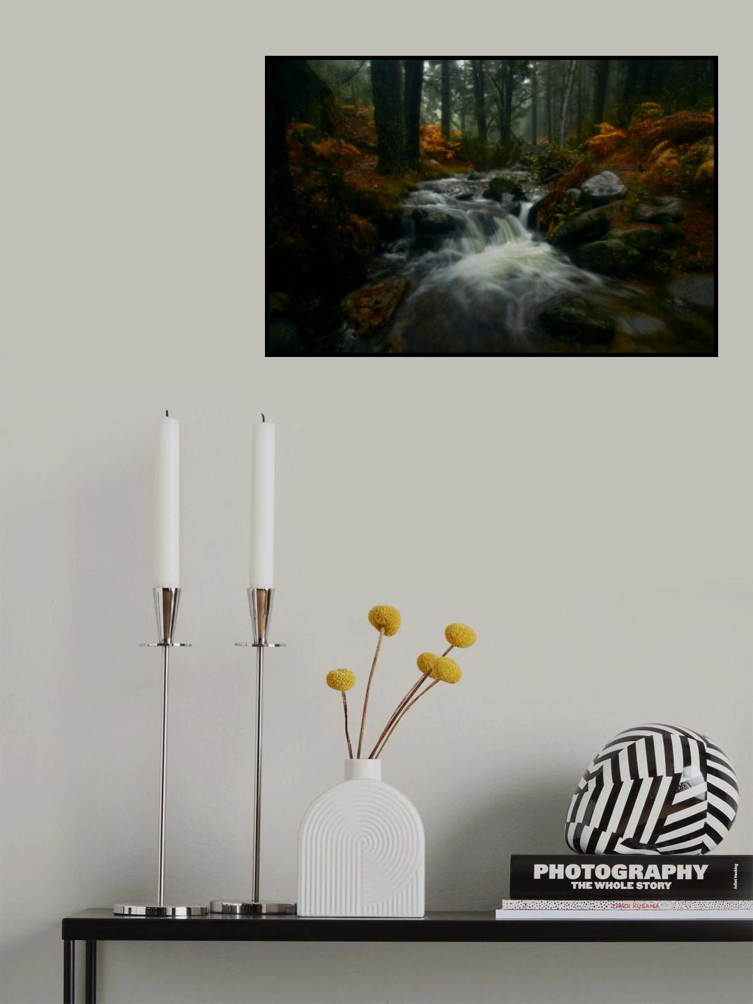 Autumn is coming... Poster och Canvastavla