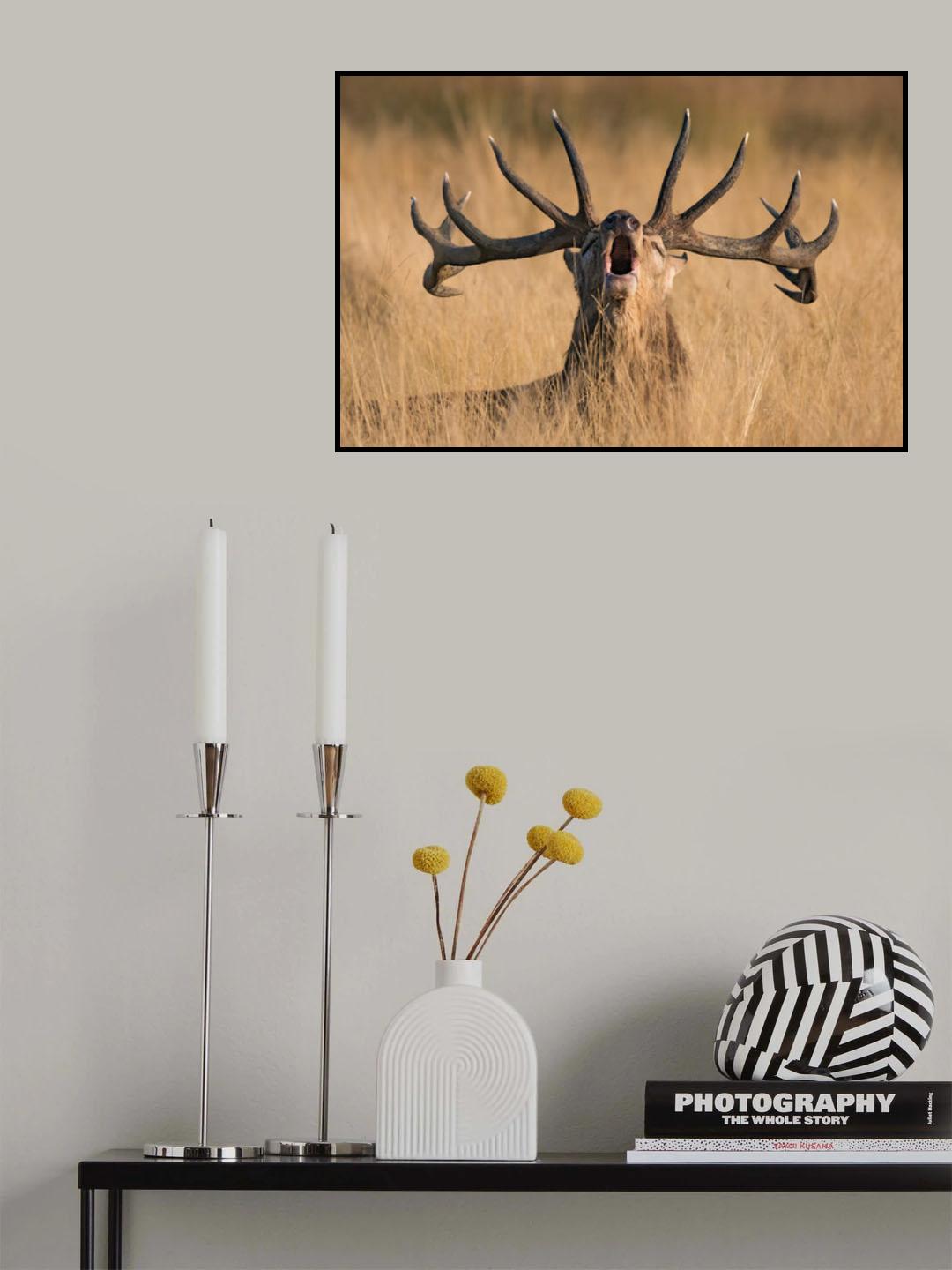 Ready to Rut Poster och Canvastavla