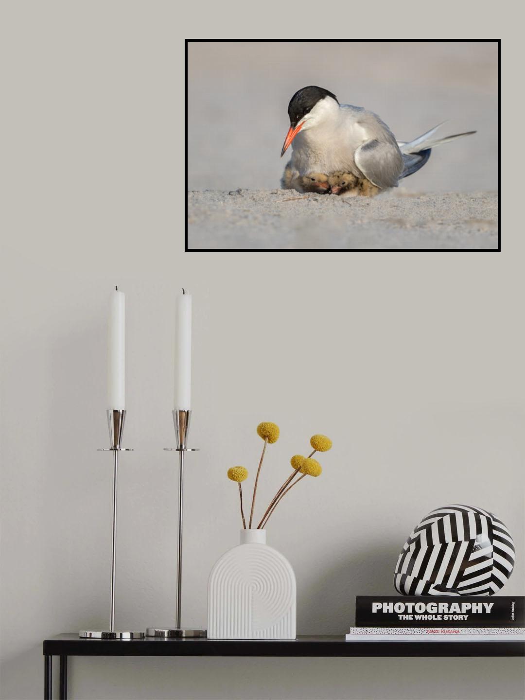 Protection Poster och Canvastavla