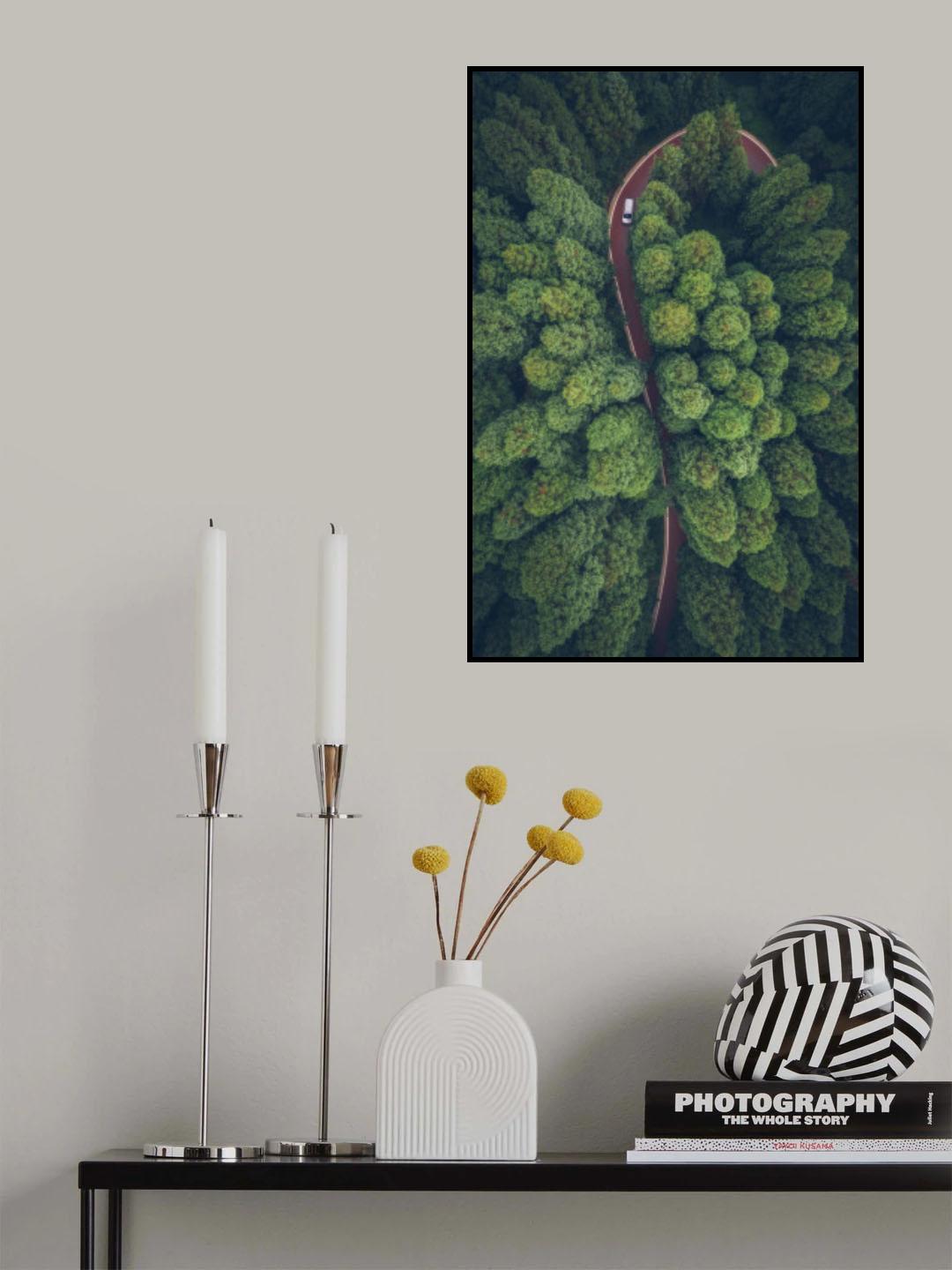 The path of music ripples through the forest Poster och Canvastavla