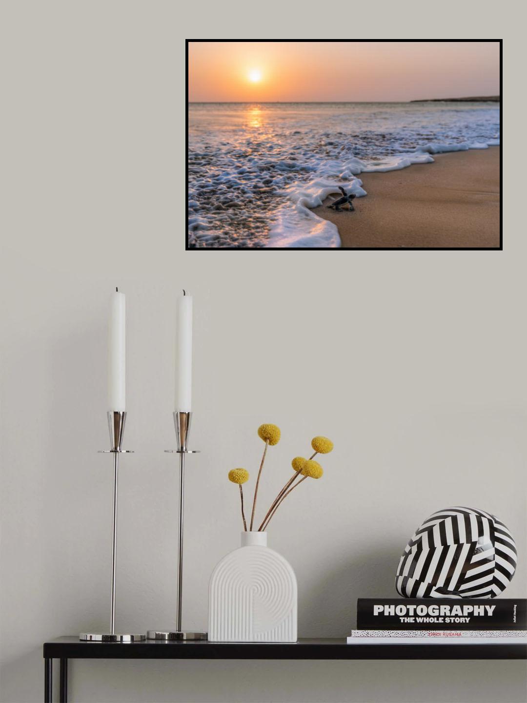 Green Turtle Poster och Canvastavla