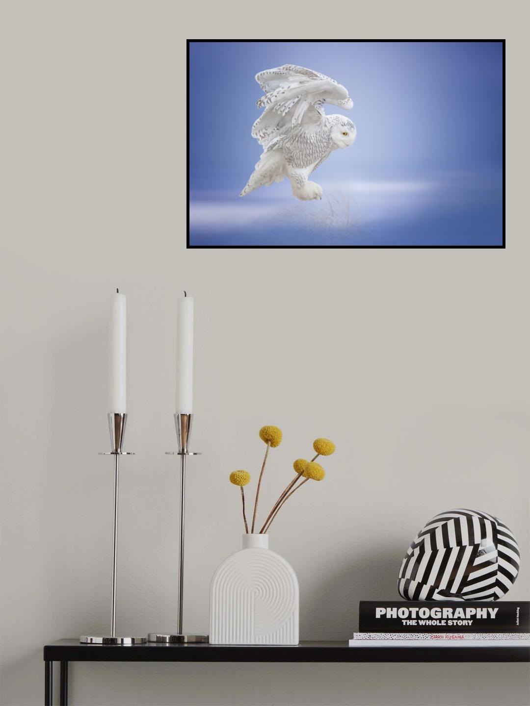 Taking....off Poster och Canvastavla