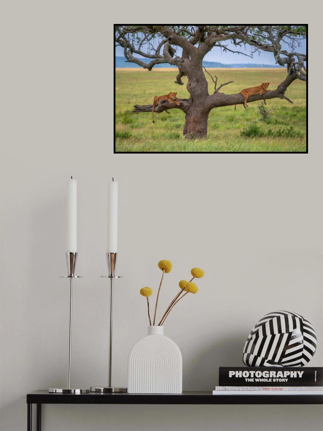 Balance Poster och Canvastavla