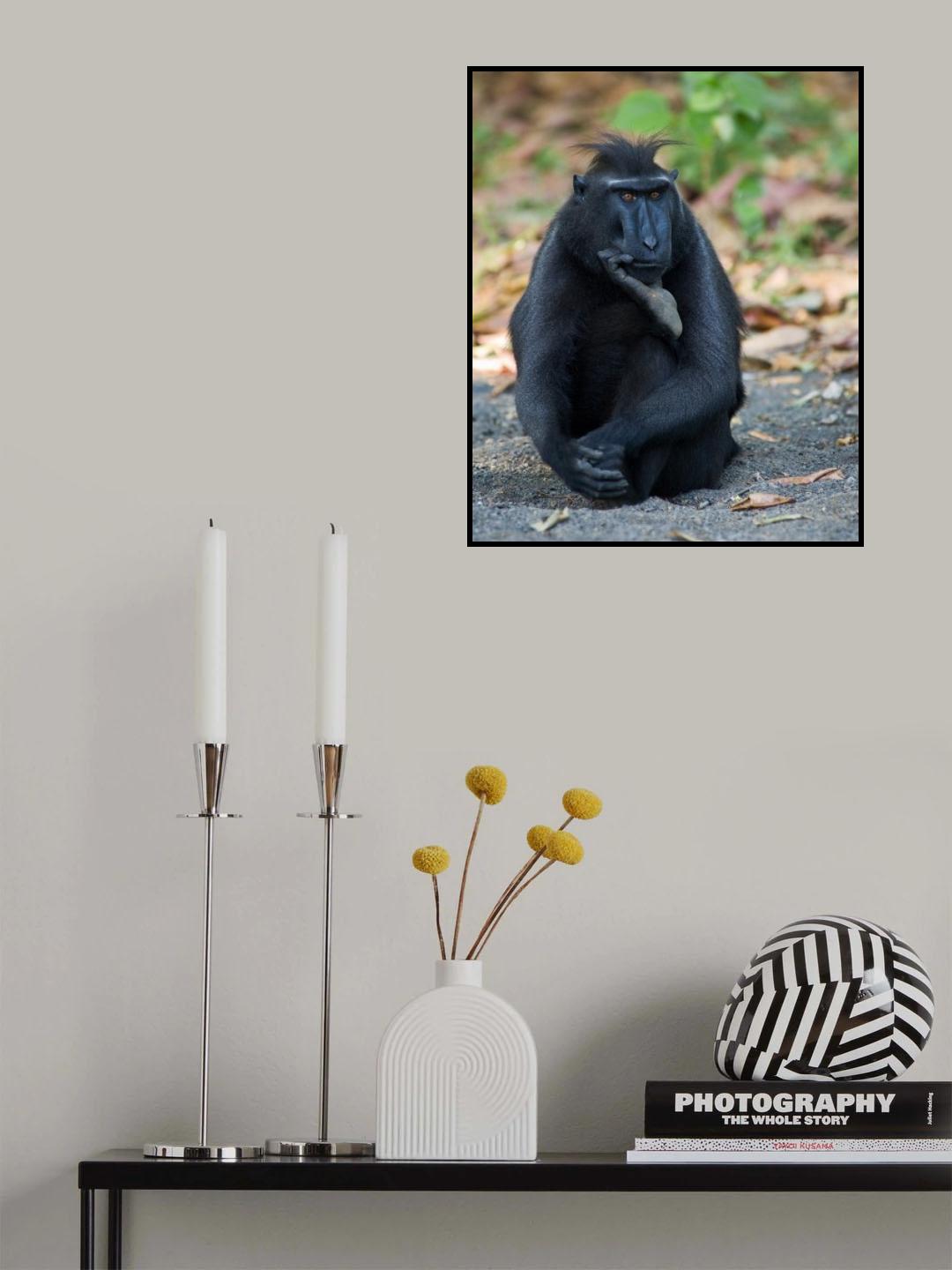The Thinker Poster och Canvastavla